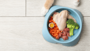 Comida saludable para perro como parte de una alimentación natural para mascotas.