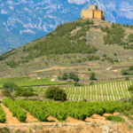 Turismo rural en La Rioja vivido en un pueblo con encanto y vida local auténtica.