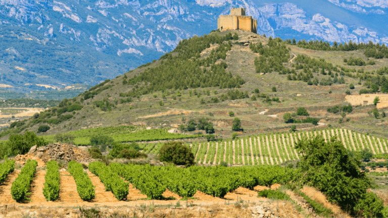 Turismo rural en La Rioja vivido en un pueblo con encanto y vida local auténtica.