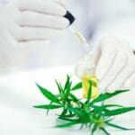 Aceite de CBD con certificado de análisis, seguro y de calidad para comprar online con confianza