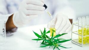 Aceite de CBD con certificado de análisis, seguro y de calidad para comprar online con confianza