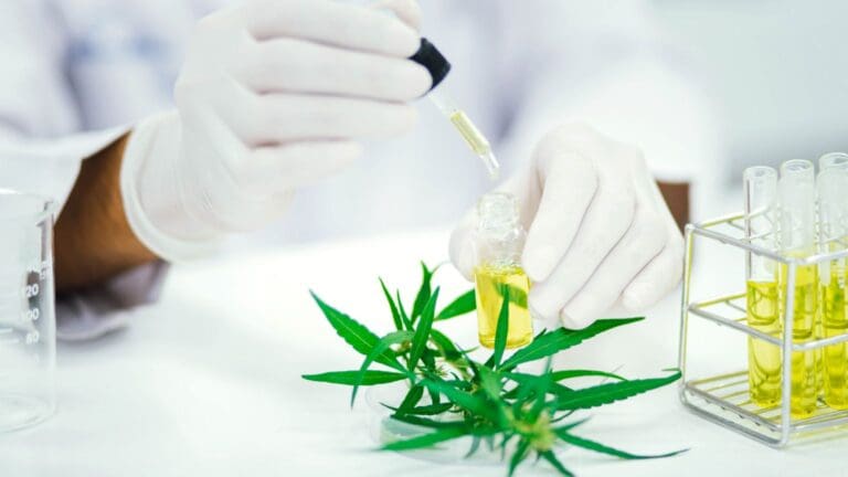 Aceite de CBD con certificado de análisis, seguro y de calidad para comprar online con confianza