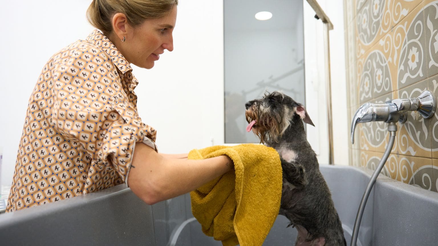 Perro con expresión incómoda tras el baño, reflejando mal olor persistente por causas como piel, oídos o mala higiene postbaño