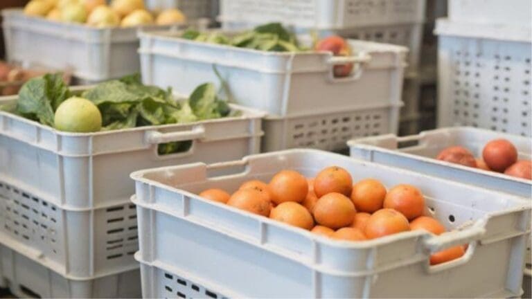 Transporte de frutas y verduras en cajas reutilizables para reducir costes y desperdicio