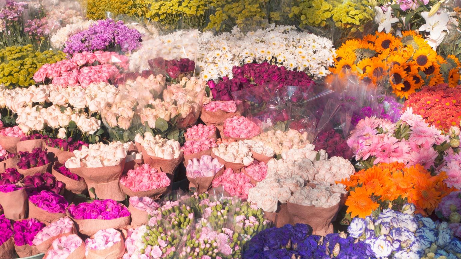floristería con gran variedad de ramos de flores frescas en distintos colores y arreglos expuestos en tienda