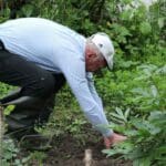 productos de jardinería y maquinaria de jardinería en mantenimiento profesional