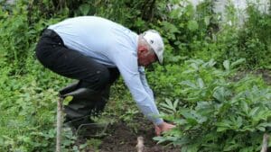 productos de jardinería y maquinaria de jardinería en mantenimiento profesional