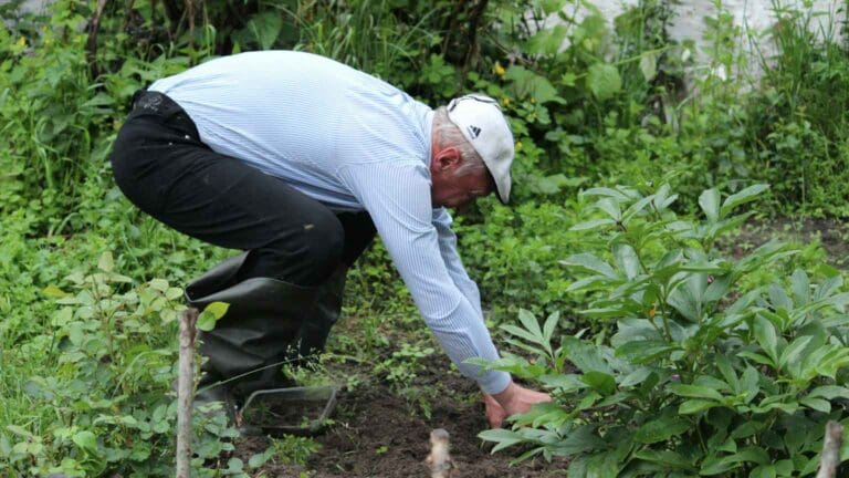 productos de jardinería y maquinaria de jardinería en mantenimiento profesional