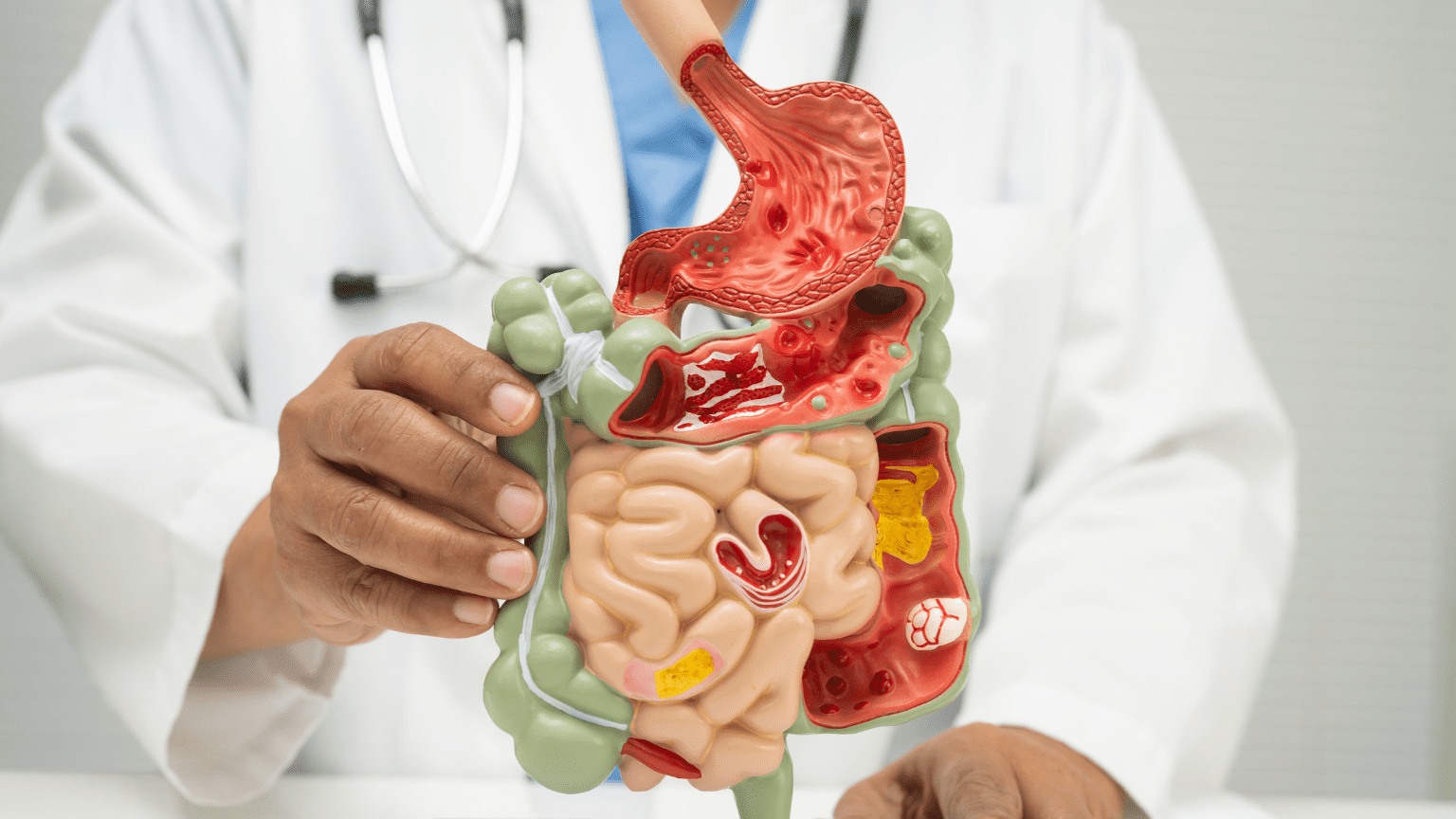 salud digestiva natural