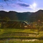 Tendencias del mercado de fincas en España y evolución del suelo rural