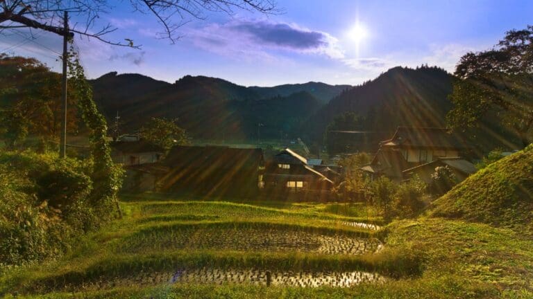 Tendencias del mercado de fincas en España y evolución del suelo rural