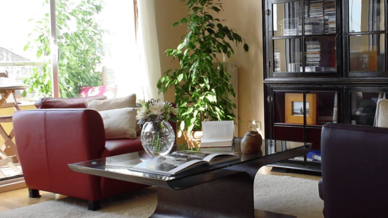 Diseño de interiores