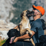 Viajar con mascotas a Burgos y disfrutar sin restricciones