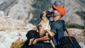 Viajar con mascotas a Burgos y disfrutar sin restricciones