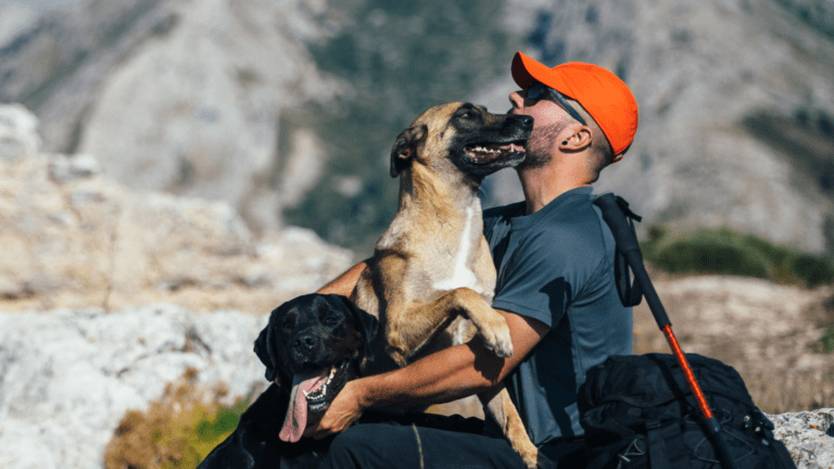 Viajar con mascotas a Burgos y disfrutar sin restricciones