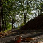 Alojamiento rural responsable en el norte de España