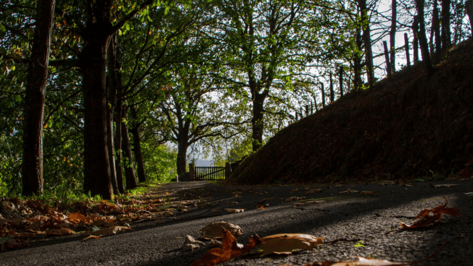 Alojamiento rural responsable en el norte de España