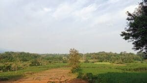 ¿Es buen momento para invertir en suelo en Ayamonte?