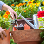 ¿Por qué el mantenimiento de jardines marca la diferencia en tu hogar?