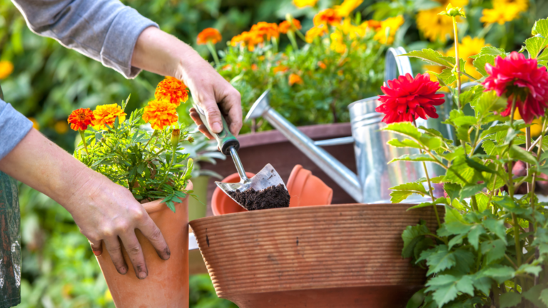 ¿Por qué el mantenimiento de jardines marca la diferencia en tu hogar?