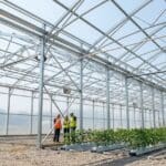 ¿Qué es una estructura metálica para invernadero?
