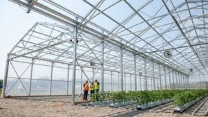 ¿Qué es una estructura metálica para invernadero?