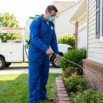 Qué es el control de plagas y por qué es fundamental