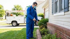 Qué es el control de plagas y por qué es fundamental