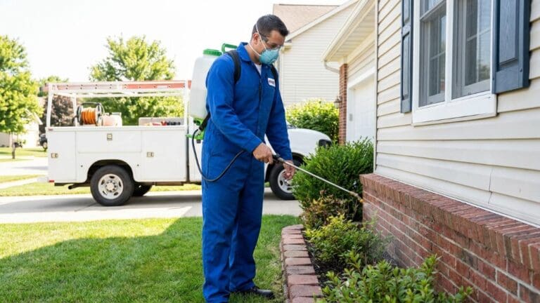 Qué es el control de plagas y por qué es fundamental