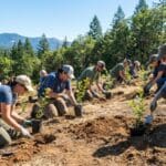 ¿Qué es la conservación del medio natural?