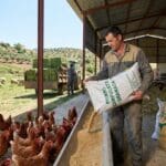 ¿Qué es la alimentación animal en Granada y qué considerar?