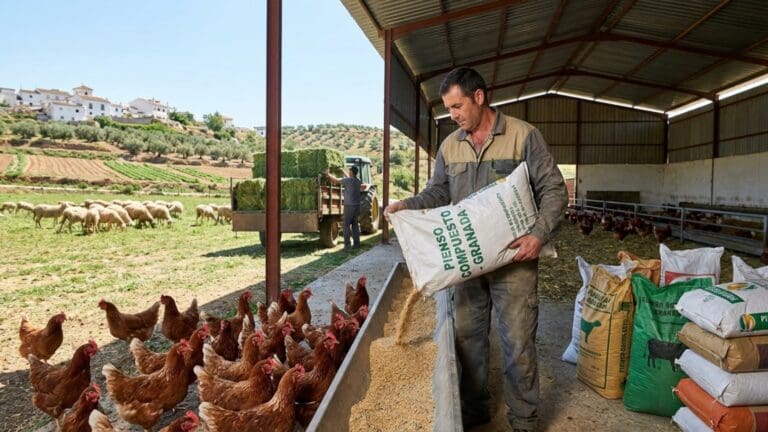 ¿Qué es la alimentación animal en Granada y qué considerar?