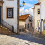 Grupo de turistas disfrutando de visitas guiadas en Oporto por el centro histórico.