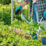Productos y herramientas disponibles en una agrotienda para campo y jardín.
