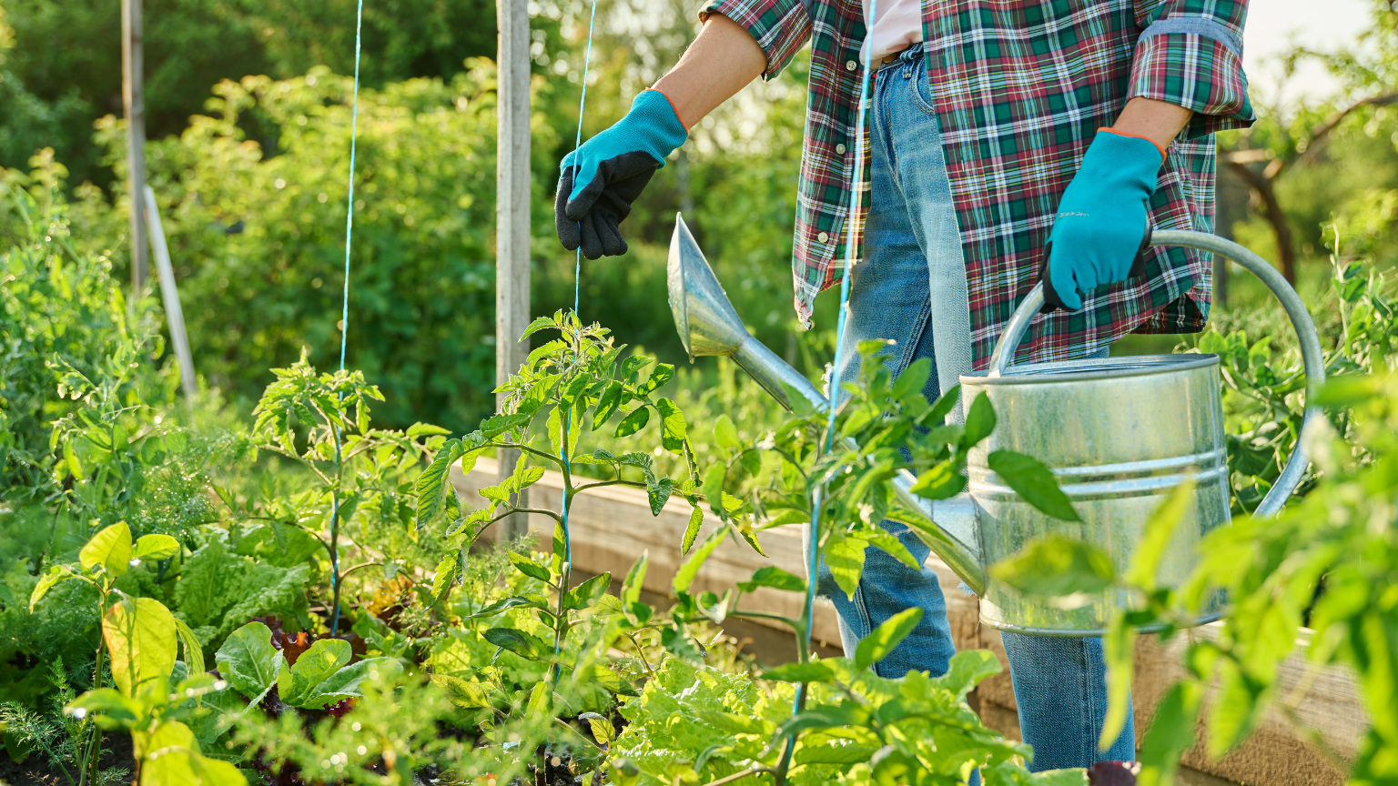 ¿Qué puedes encontrar en una agrotienda para mejorar tu campo y jardín?