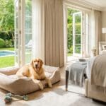 ¿Qué son las villas de lujo para mascotas y cómo funcionan?