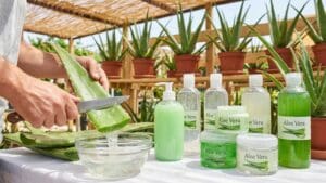 ¿Qué son los productos de aloe vera y cómo pueden mejorar su bienestar?
