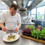 ¿Qué son los microgreens en hostelería y por qué usarlos?