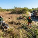 ¿Qué es la limpieza de parcelas y por qué es fundamental para su mantenimiento?