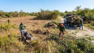 ¿Qué es la limpieza de parcelas y por qué es fundamental para su mantenimiento?