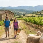 ¿Qué es el turismo rural y por qué es una opción de viaje?