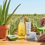 ¿Qué es el aloe forever y cuáles son sus propiedades principales?