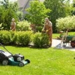 Qué son los servicios de jardinería profesional