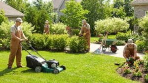 Qué son los servicios de jardinería profesional