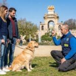 ¿Por qué es importante la educación canina en Barcelona?