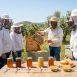 ¿Qué es la bee experience en España y por qué es tan valorada?