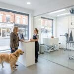 ¿Qué considerar al buscar una peluqueria canina cerca para su mascota?
