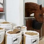 ¿Qué son los piensos para caballos y cómo influyen en su salud?
