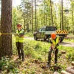 ¿Qué son los servicios forestales y por qué son cruciales?