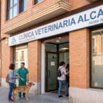 Clínica veterinaria en Alcalá de Henares: guía de servicios